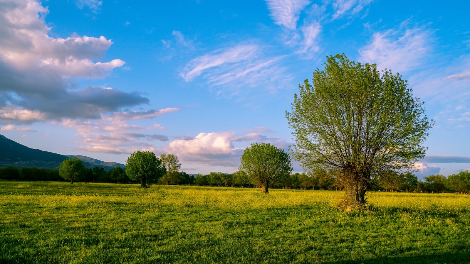 Sony a6500 + Sony Vario-Tessar T* E 16-70mm F4 ZA OSS sample photo. Prado, sky, pedriza photography