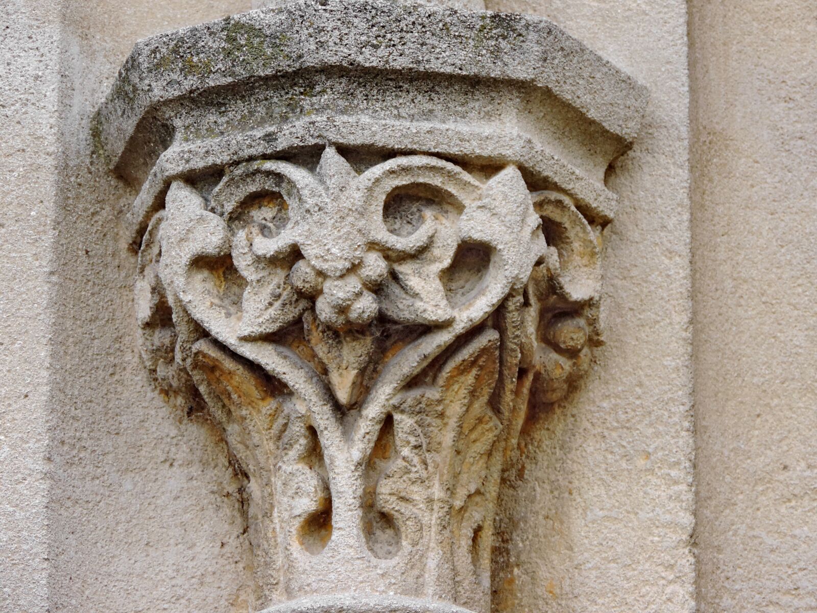 Nikon Coolpix P520 sample photo. Arabesque, ornament, sculpture, art photography
