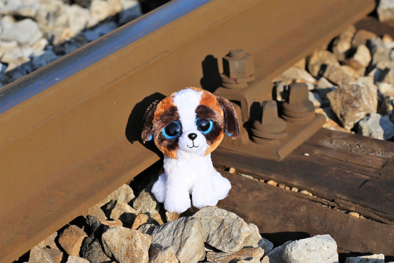 Canon EOS 6D + Canon EF 100mm F2.8 Macro USM sample photo. Stop children suicide, teddy photography