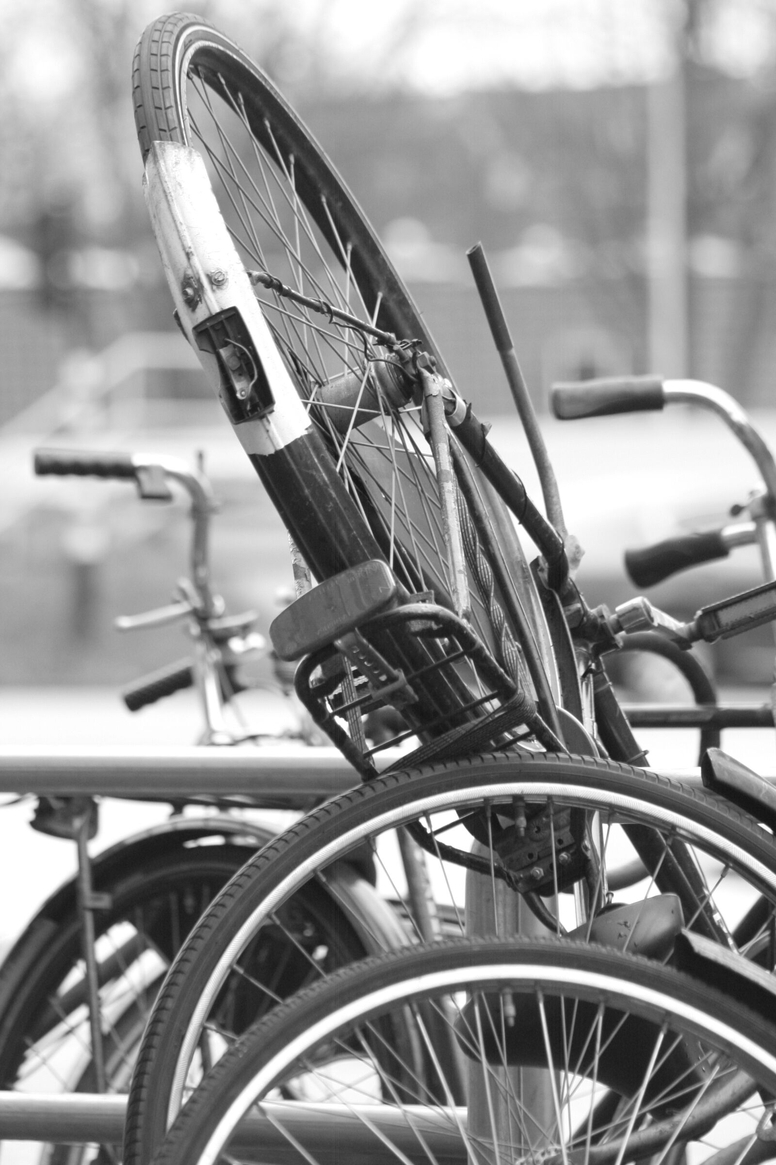 Canon EOS 350D (EOS Digital Rebel XT / EOS Kiss Digital N) sample photo. Bike, amsterdam, snow photography