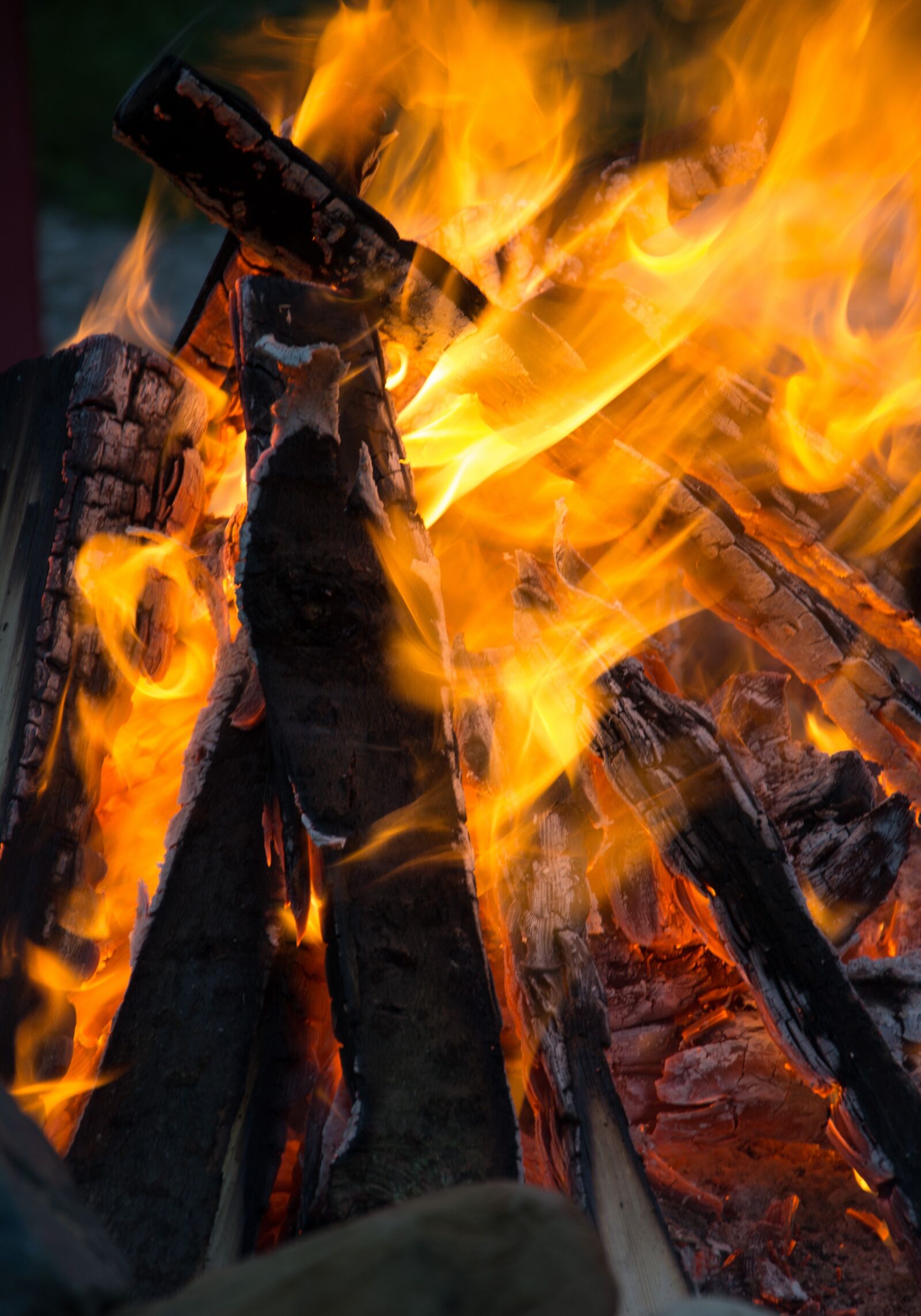 Nikon D3100 sample photo. Fire, campfire, wood photography