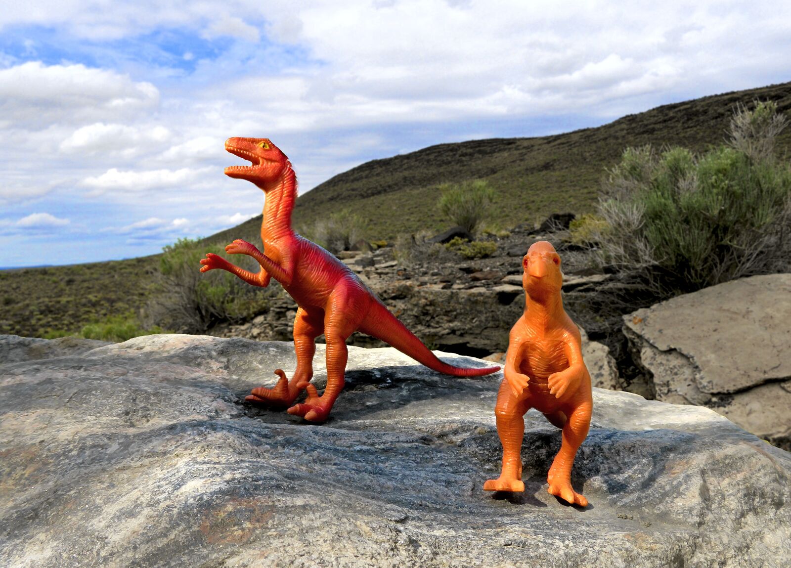 Canon PowerShot SX720 HS sample photo. Dinosaur, prehistoric, extinct photography