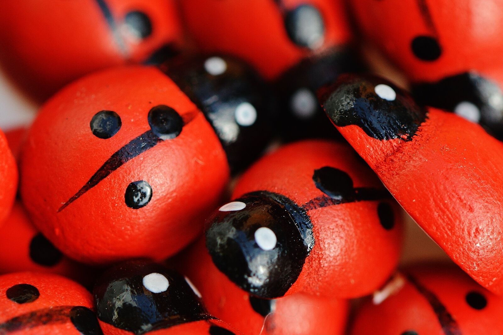 Nikon D3200 sample photo. Ladybug, wood, cute photography