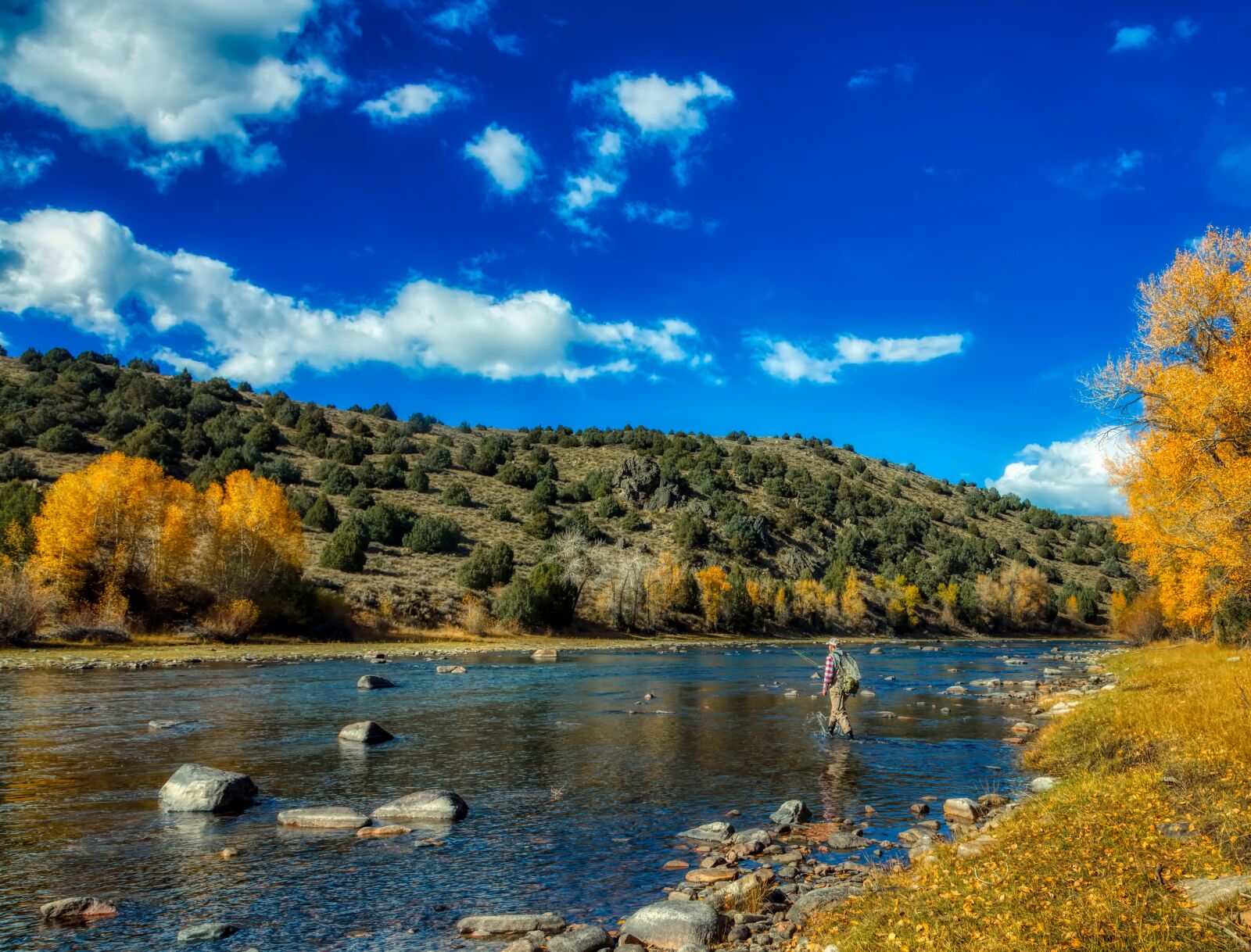 Canon EOS 5DS R + Canon EF 24-105mm F4L IS USM sample photo. Wyoming, fall, autumn photography