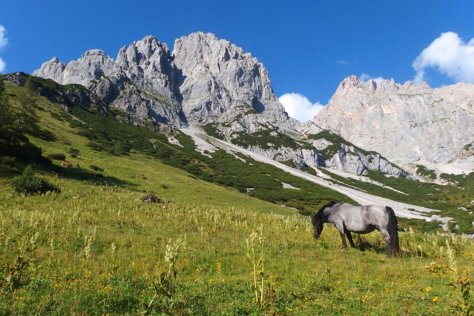 Olympus Stylus XZ-10 sample photo. Mountains, the horse, landscape photography