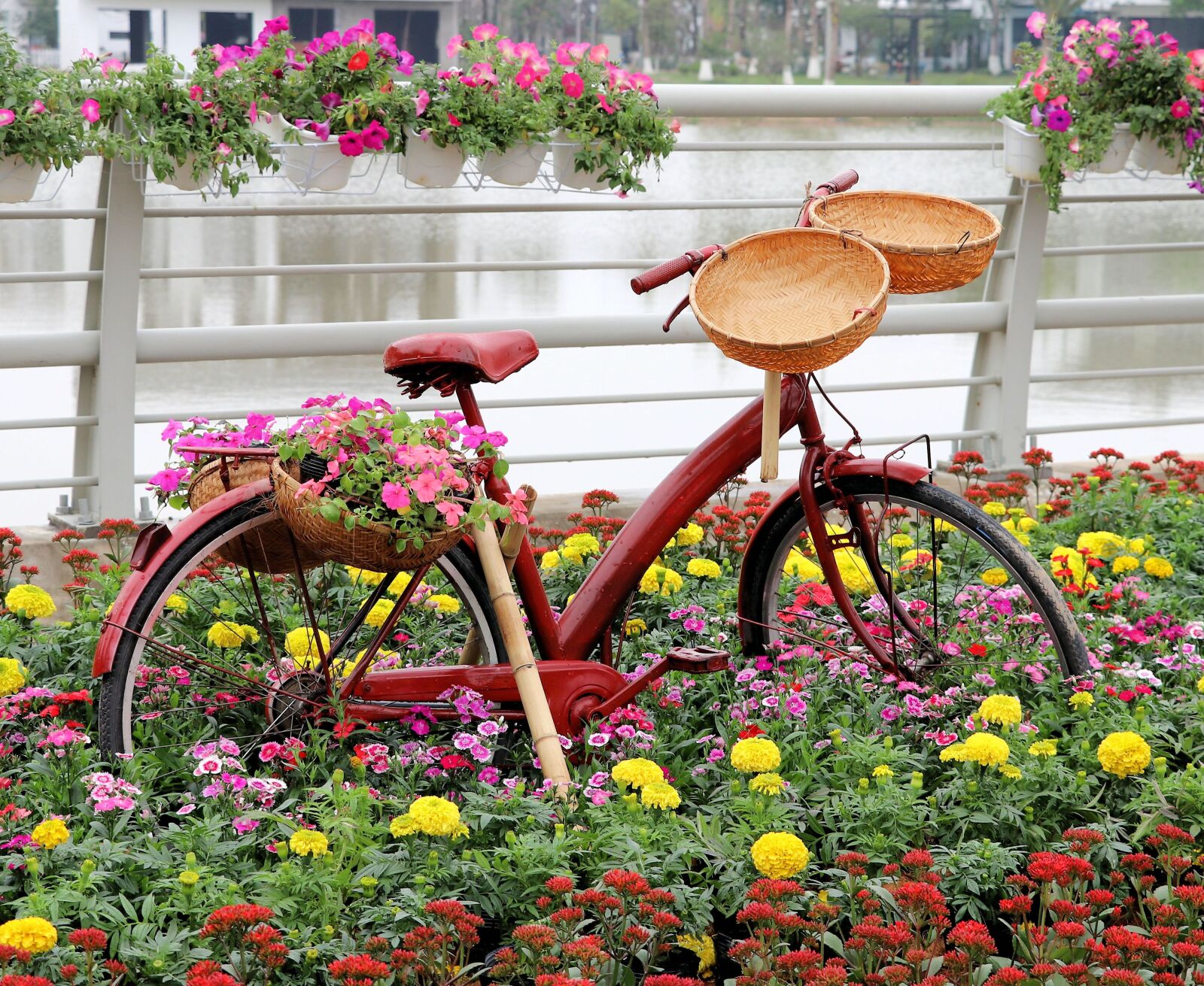 Canon EF-S 18-135mm F3.5-5.6 IS USM sample photo. Viet nam, garden design photography