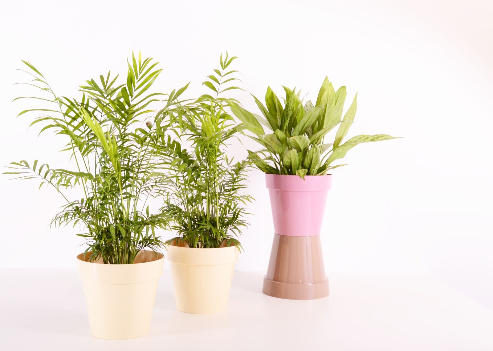 Nikon D3100 sample photo. Plants, flowerpot, plastic photography