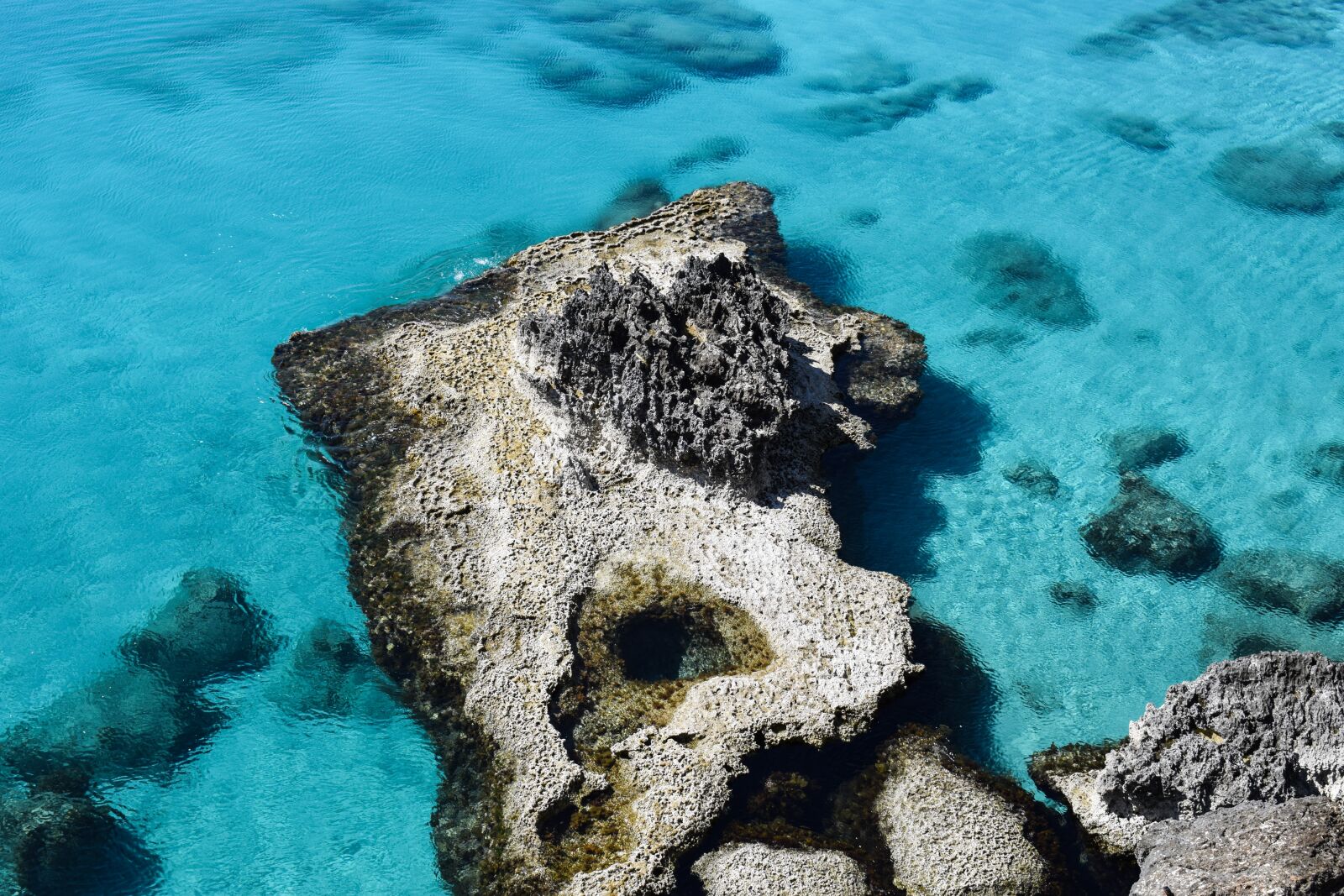 Nikon D3300 sample photo. Reef, rocky coast, sea photography