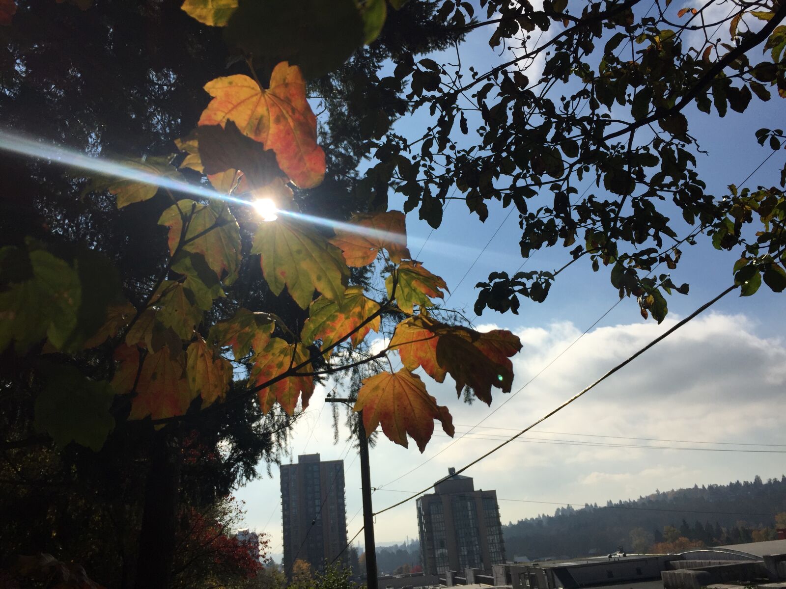 iPhone 6 back camera 4.15mm f/2.2 sample photo