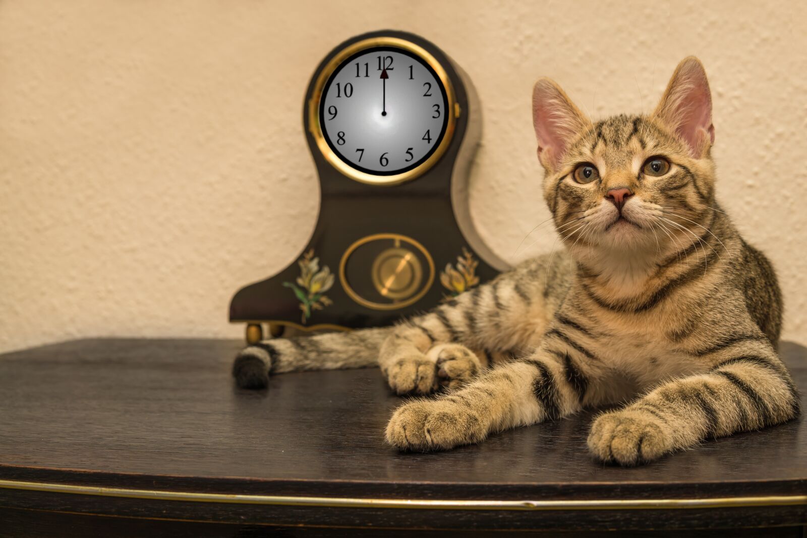 30mm F1.4 DC DN | Contemporary 016 sample photo. Cat, clock, new year's photography