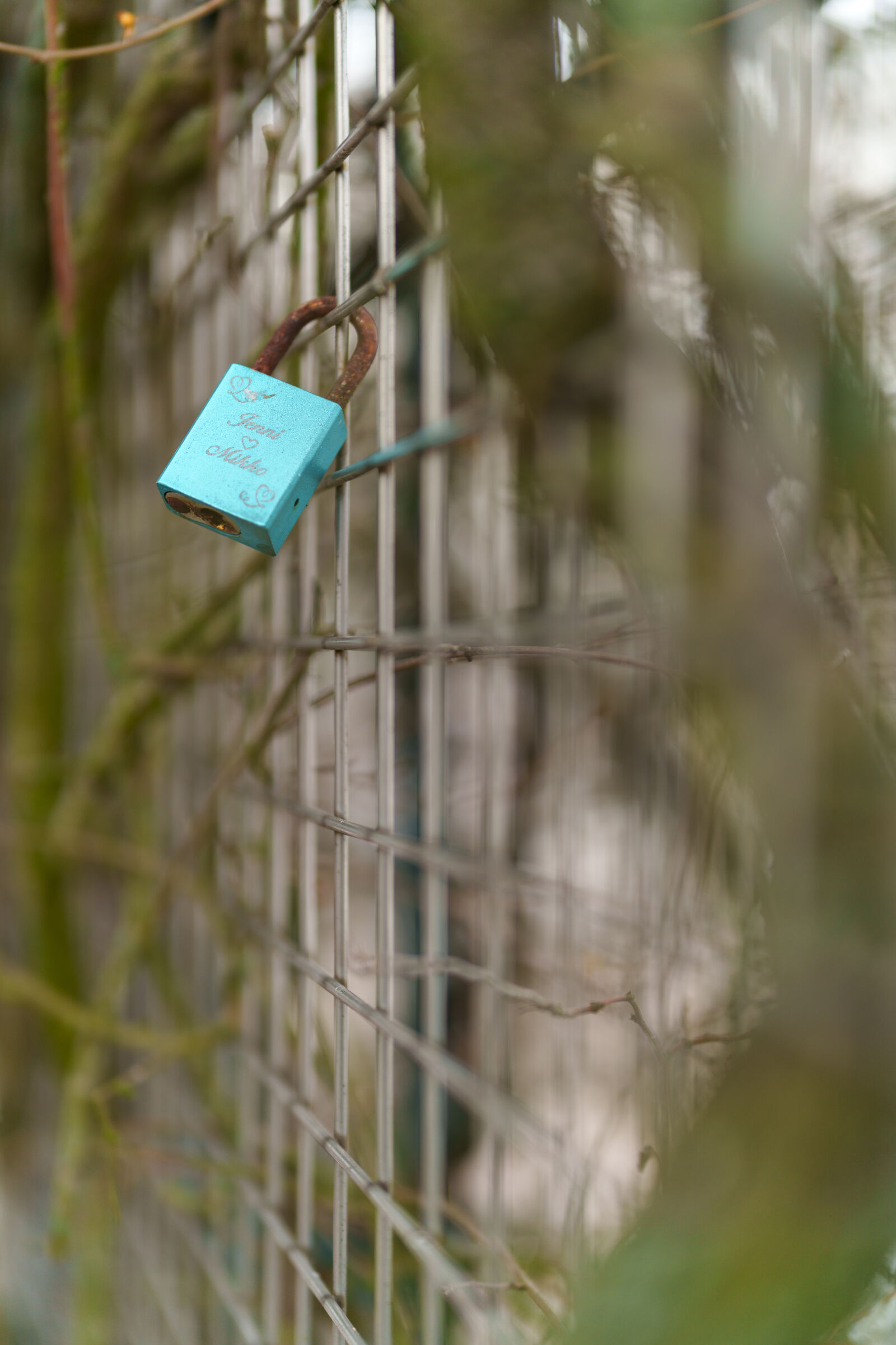 Sony a7R V sample photo. Padlock fence photography