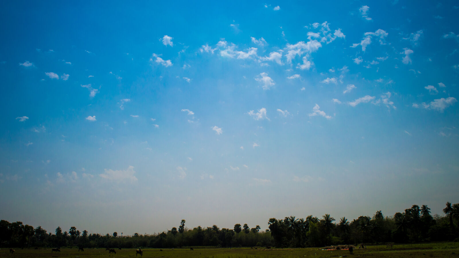 Nikon D3200 sample photo. Blue, sky, india, nature photography