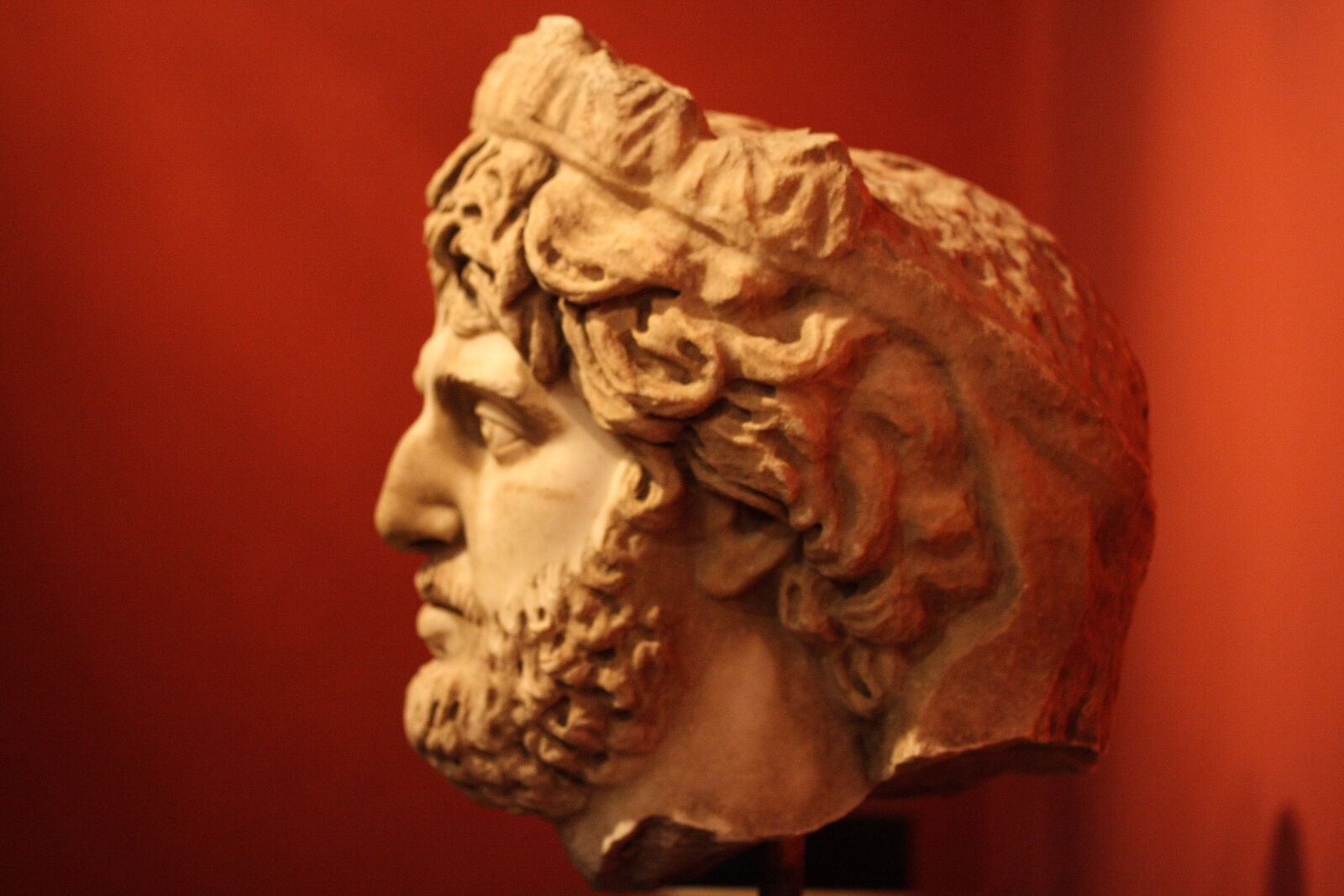 Canon EOS 40D sample photo. Sculpture, head, bust photography