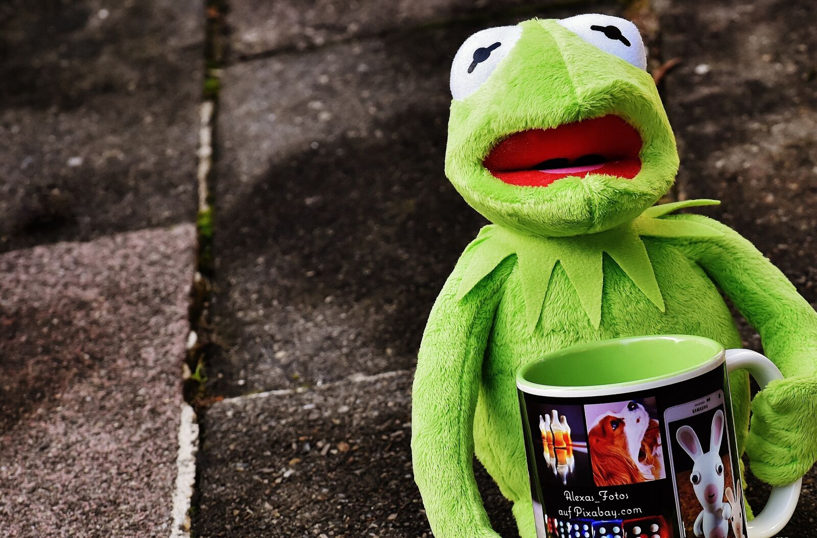 Nikon D7200 sample photo. Kermit, cup, drink coffee photography
