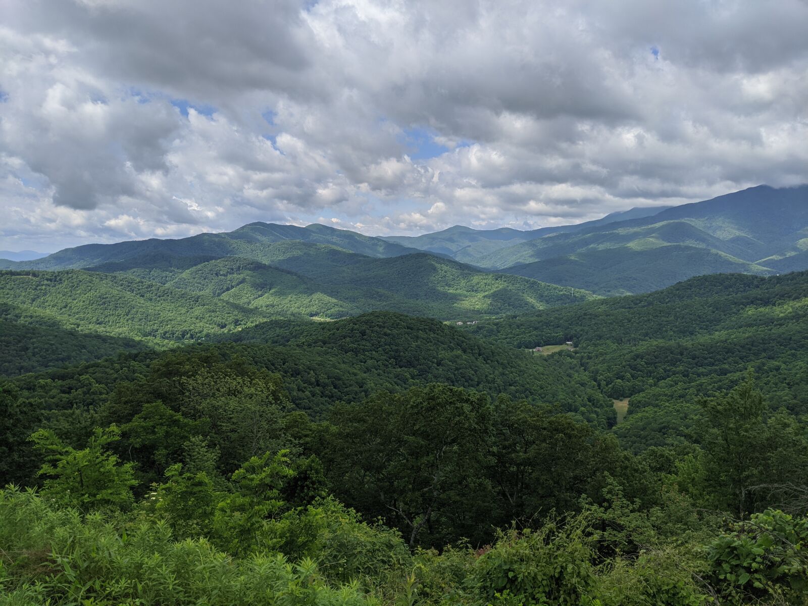 Google Pixel 3 XL sample photo. Nature, north carolina, outdoor photography