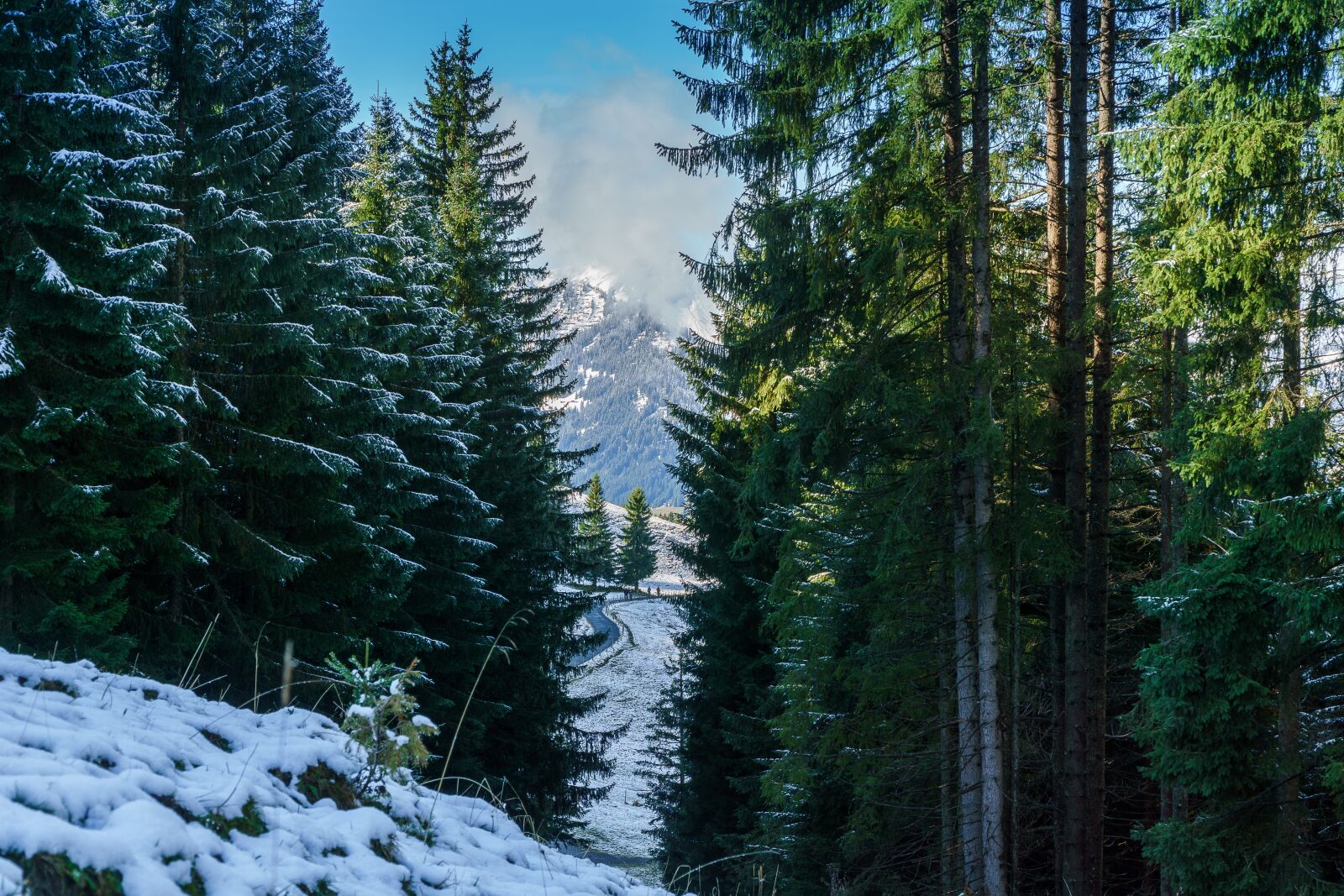 Sony a6000 + Sony E PZ 18-105mm F4 G OSS sample photo. Kleinwalsertal, hirschegg, hike photography