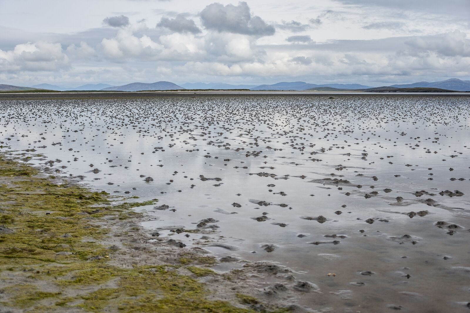 Nikon D7100 sample photo. Scotland, shore, coast photography