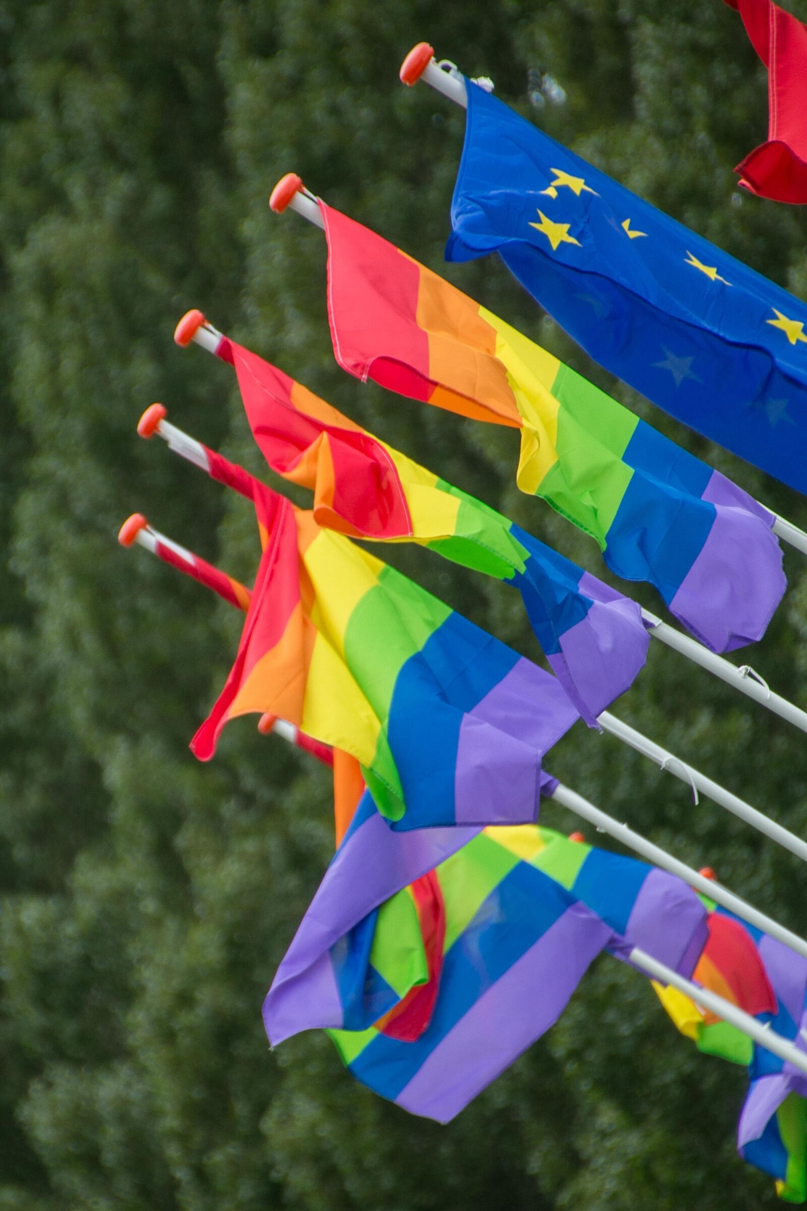 Canon EOS 70D sample photo. Flags, rainbow flag, europe photography