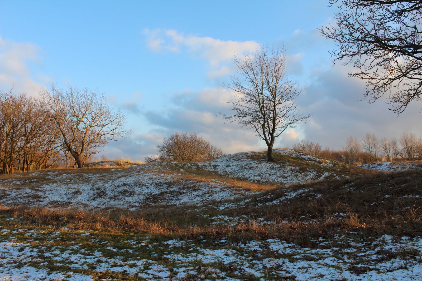 Canon EOS 600D (Rebel EOS T3i / EOS Kiss X5) sample photo. Dunes, autumn photography