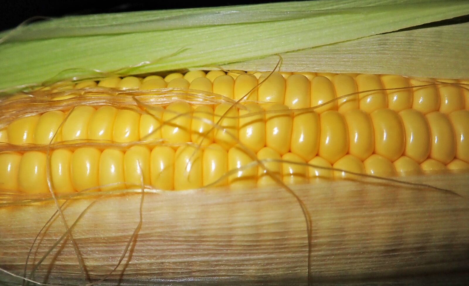 Olympus TG-5 sample photo. Sweet corn, vegetable, healthy photography