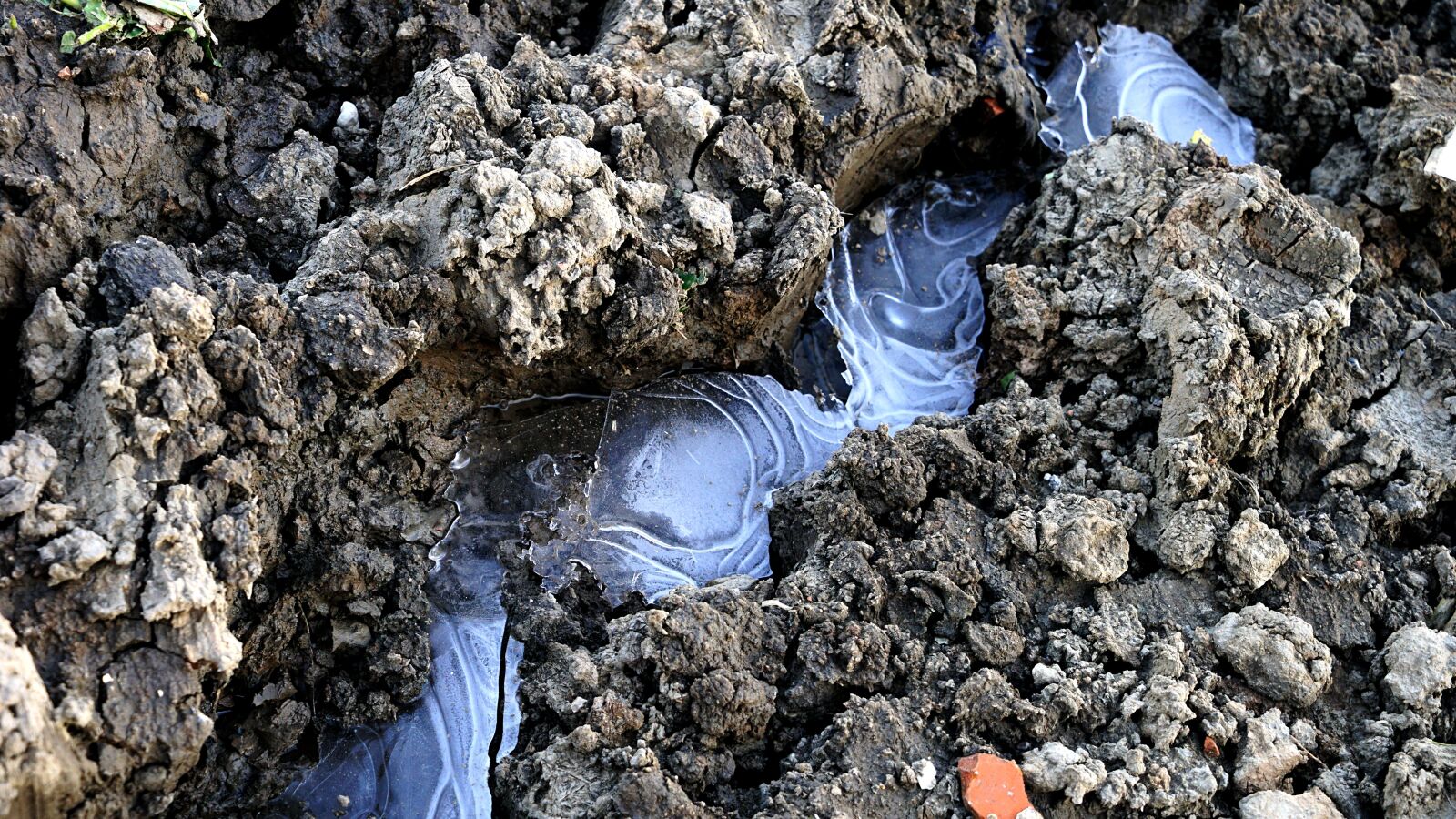 Sony a7 II + Sony Vario Tessar T* FE 24-70mm F4 ZA OSS sample photo. Ice, cold, soil photography