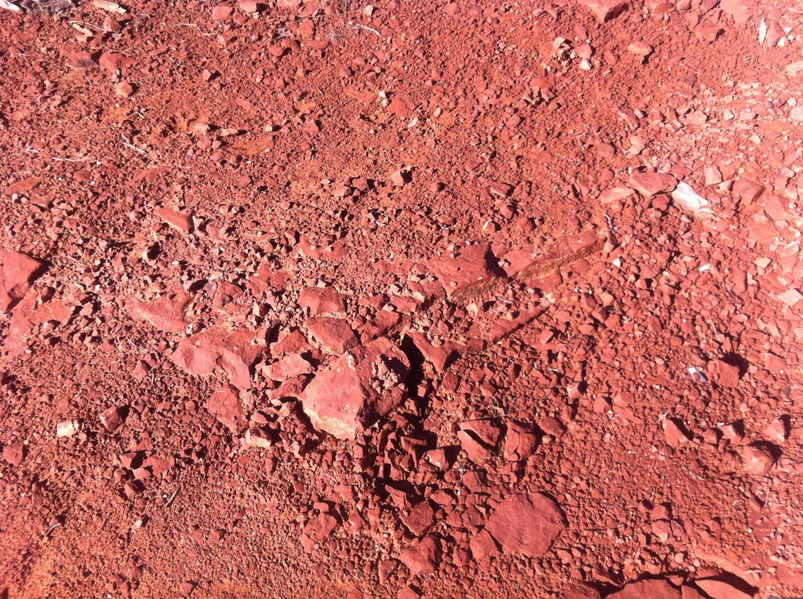 Apple iPhone 4 sample photo. Red dirt, natural, arizona photography