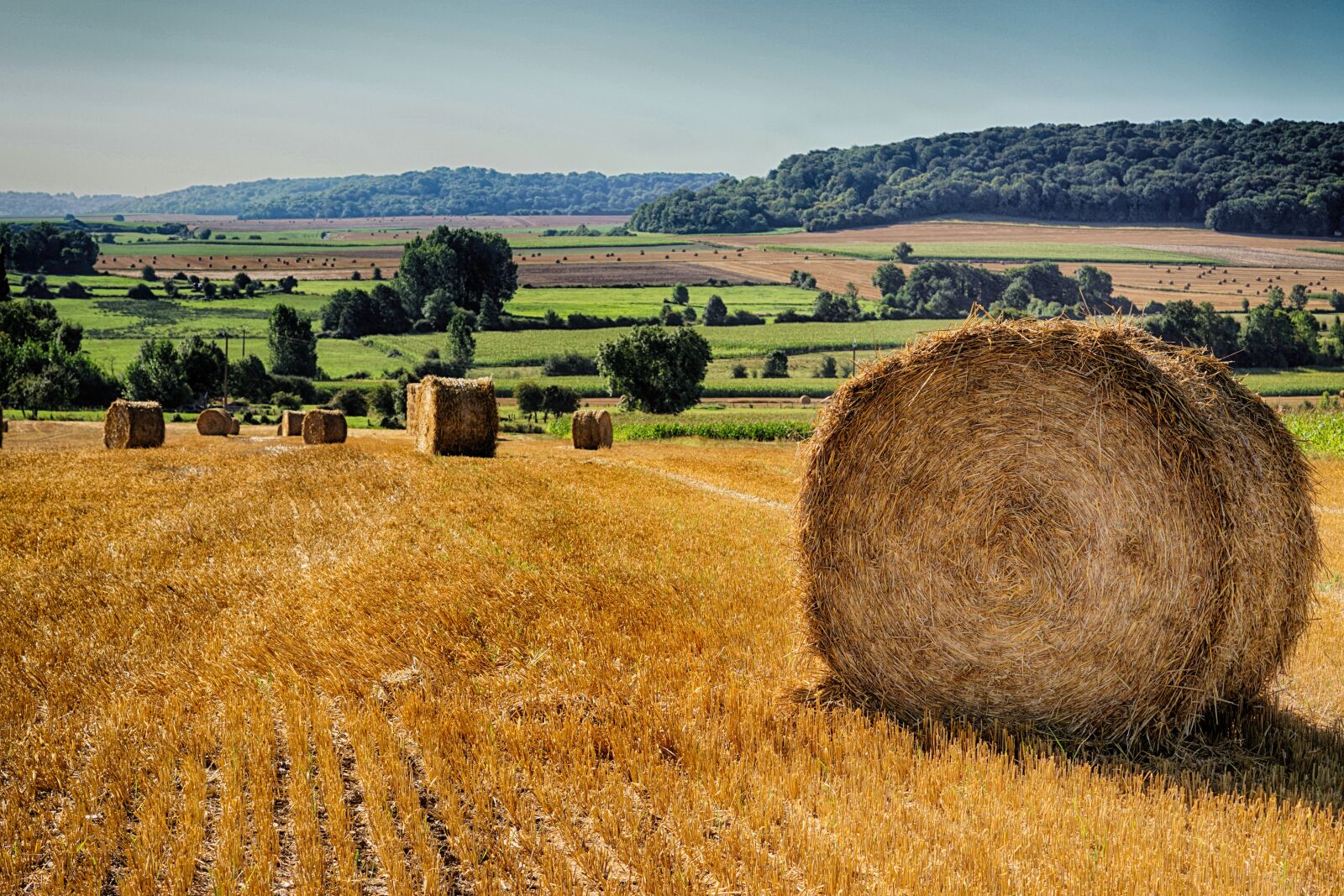 Sony ILCA-77M2 + Sony DT 50mm F1.8 SAM sample photo. Straw, fields, field photography