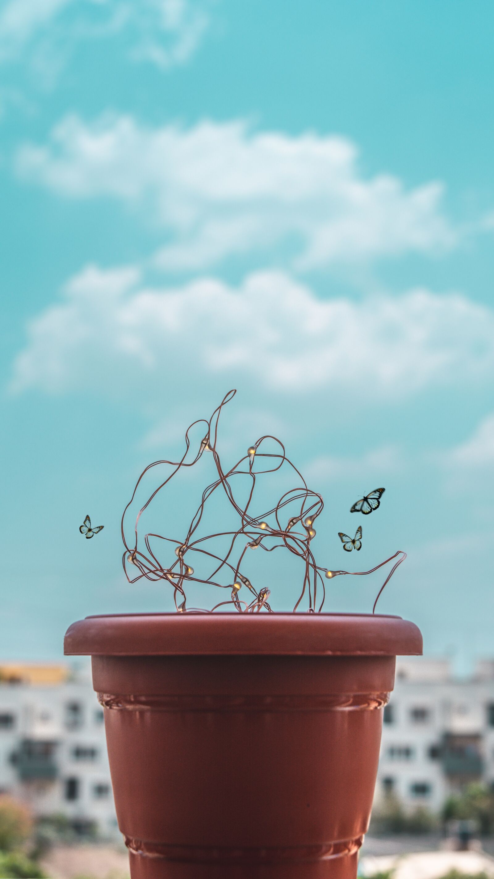 Nikon D5200 sample photo. Surreal, butterflies, lamp photography