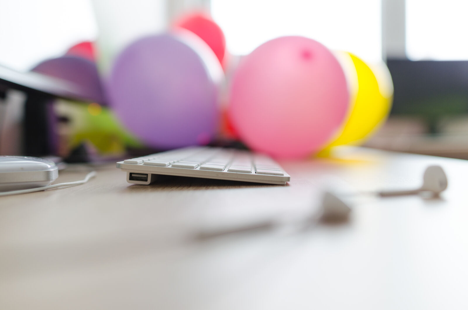 Nikon D5100 sample photo. Above, background, blank, business photography