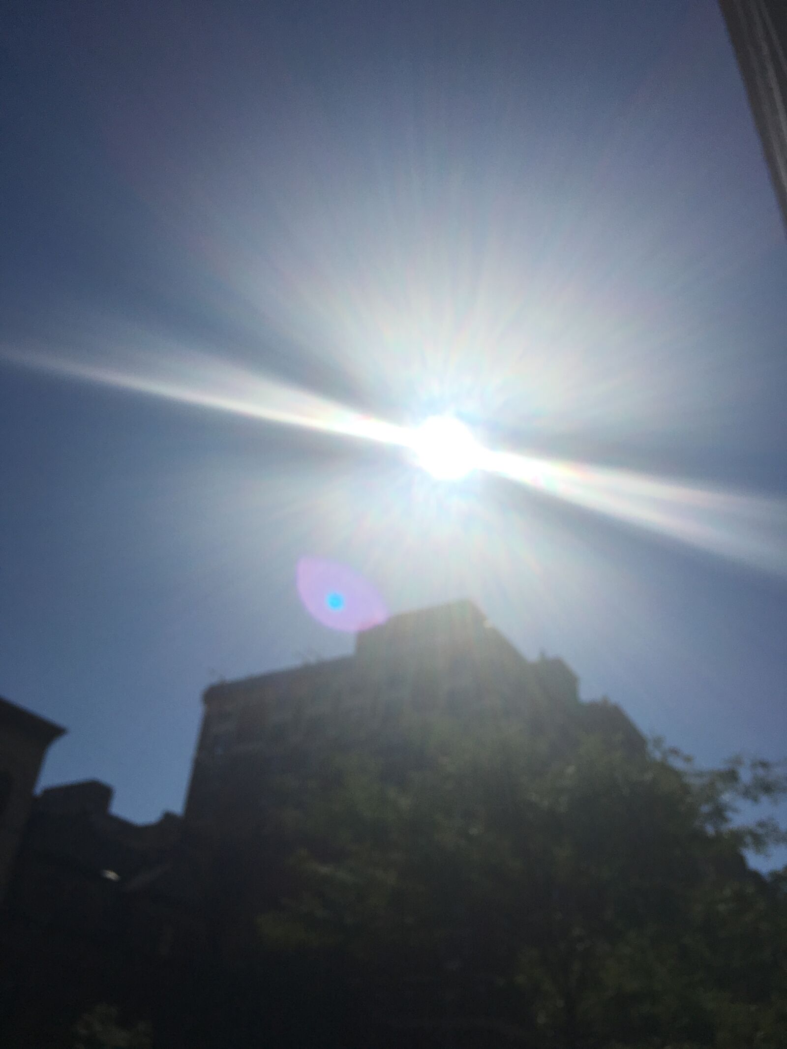 iPhone 6s back camera 4.15mm f/2.2 sample photo. Sun, outdoors, nature photography