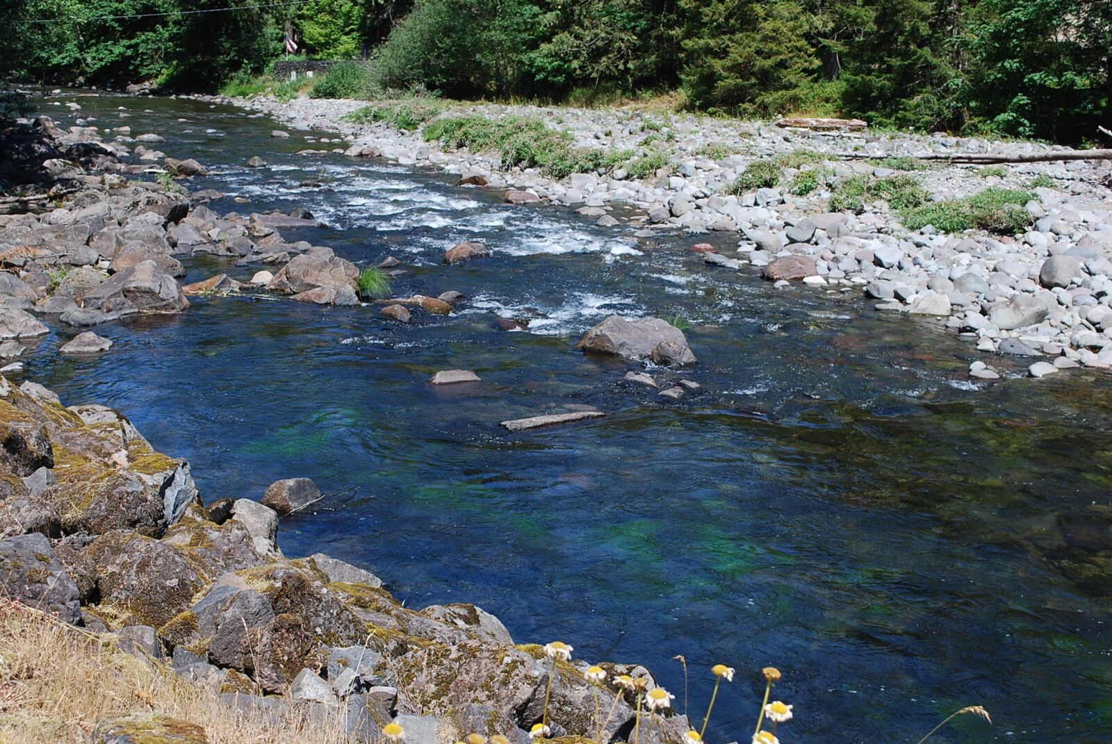 Nikon D60 sample photo. Salmon river, mt, hood photography