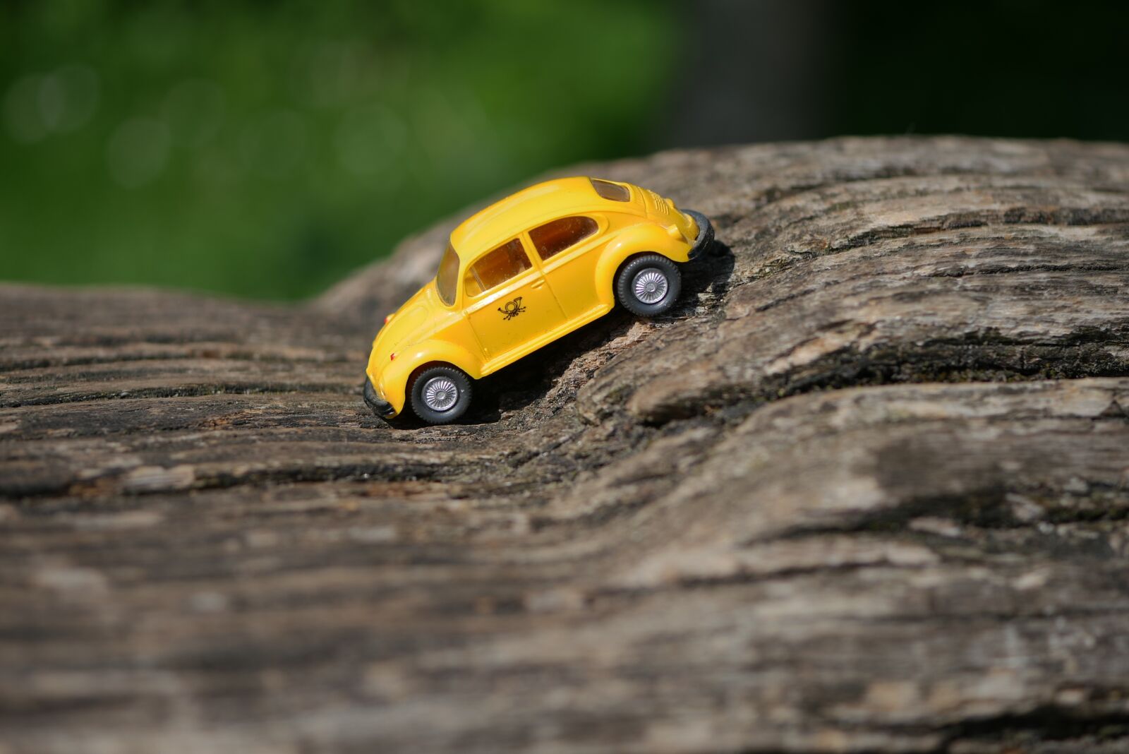 Panasonic DMC-G70 sample photo. Wood, summer, vw photography
