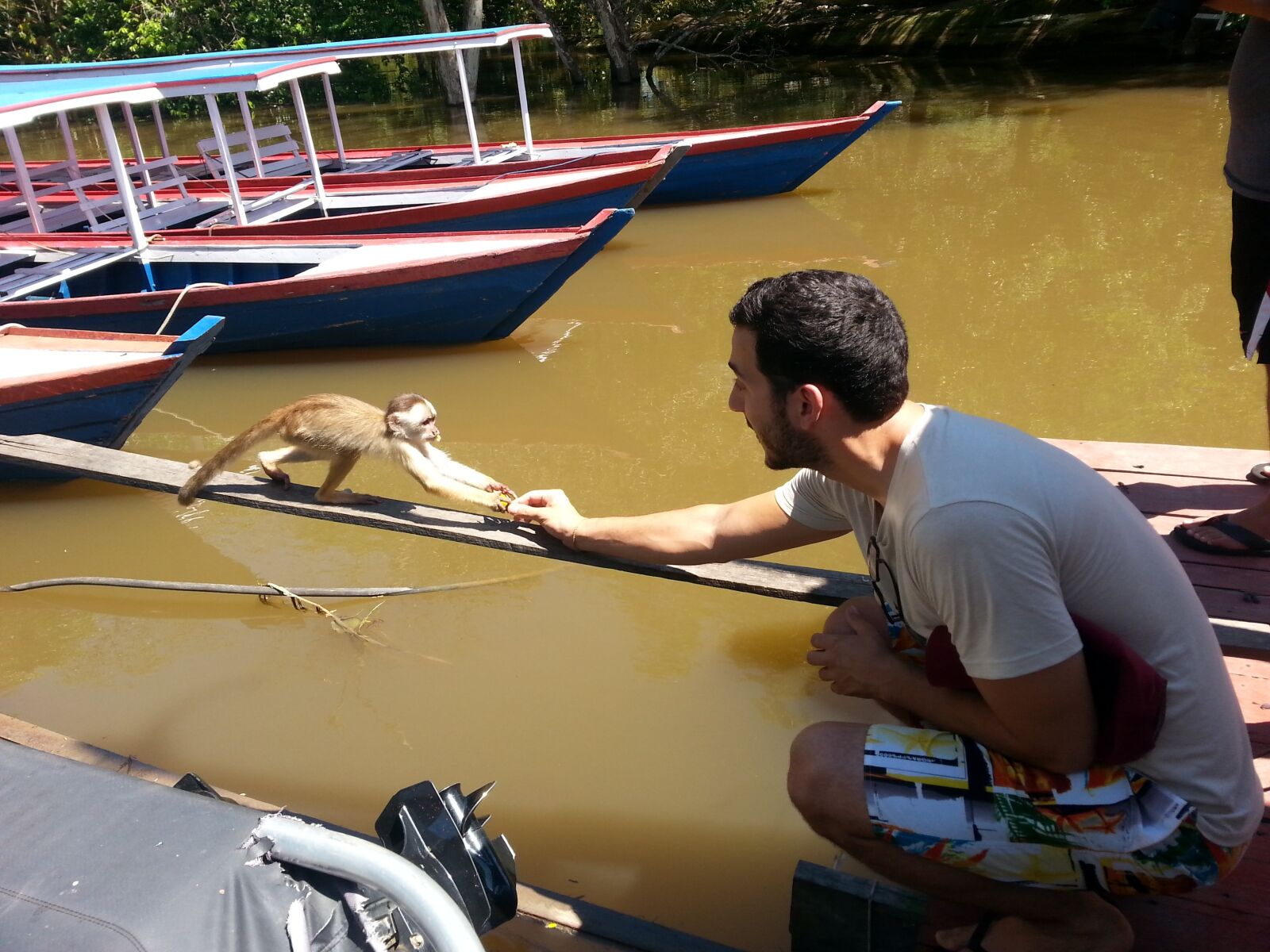 Samsung Galaxy Note2 sample photo. Monkey, brazil, feeding photography