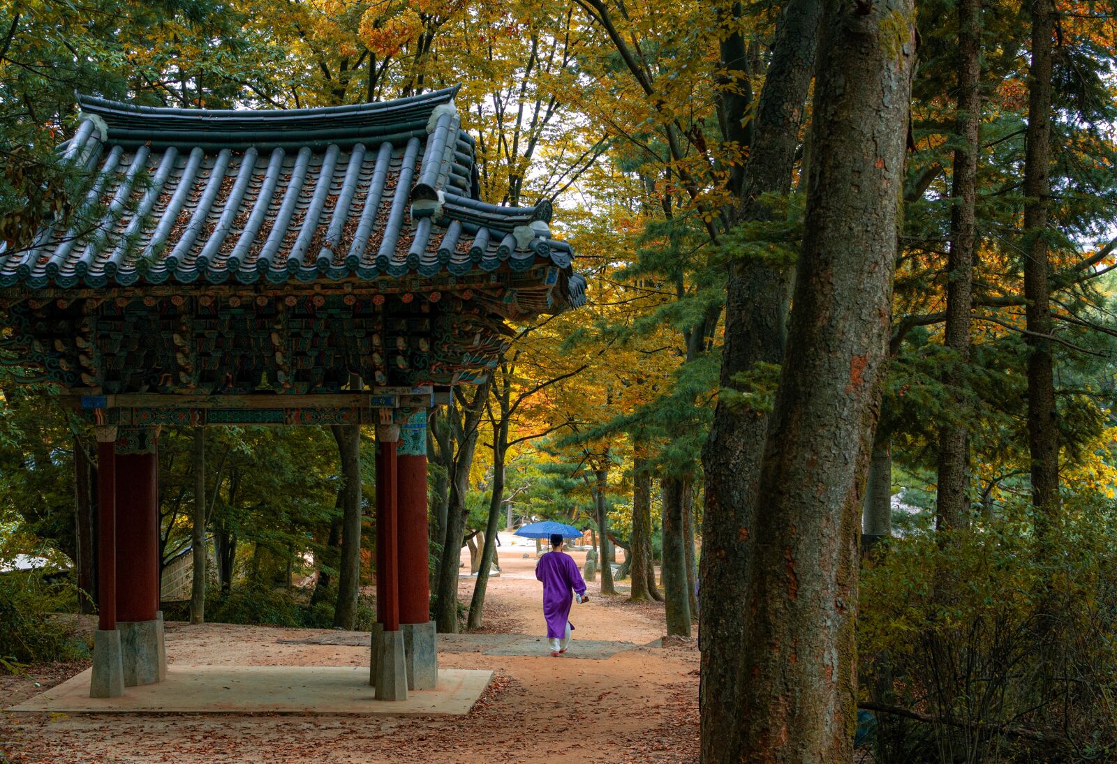 Nikon D3200 sample photo. South korea, minsokchon, korea photography