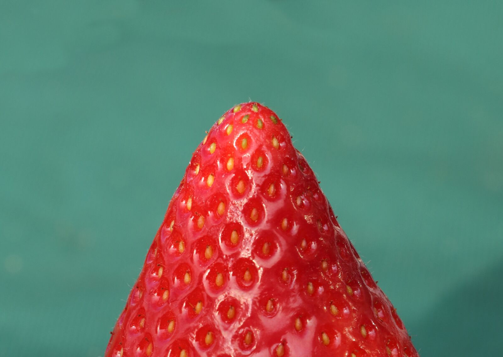 Canon EOS 80D sample photo. Strawberry, fruit, red photography