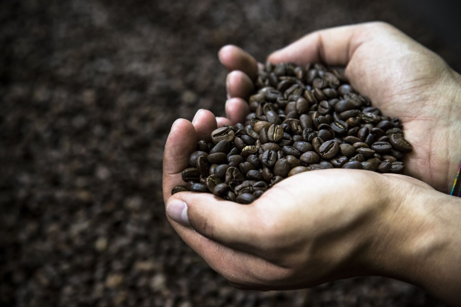 Canon EOS 5D Mark III sample photo. Coffe, marketing, coffee photography
