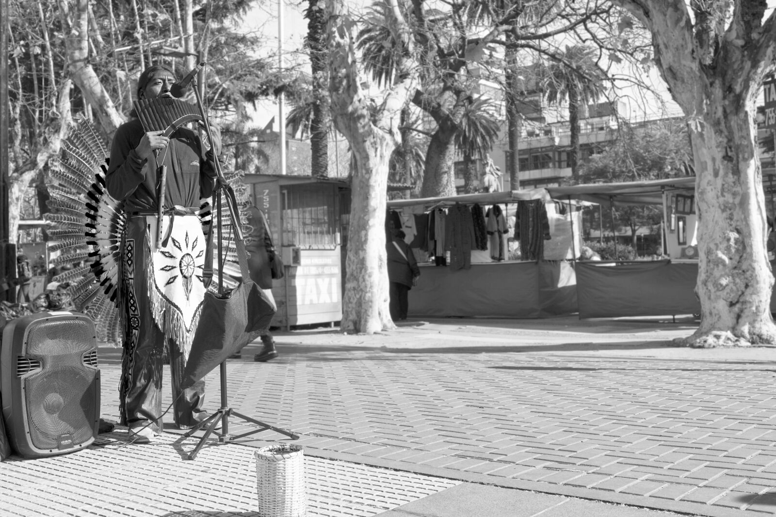 Nikon D3300 sample photo. Indian, street artist, music photography
