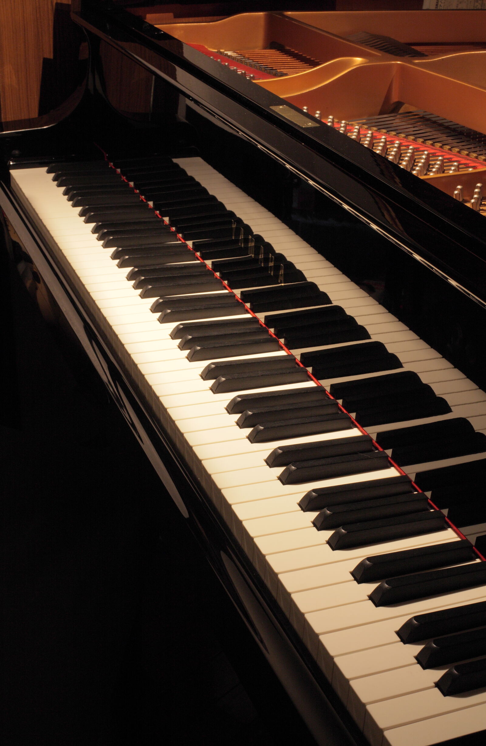 Canon EOS 5D Mark II sample photo. Black, gold, keyboard, metal photography