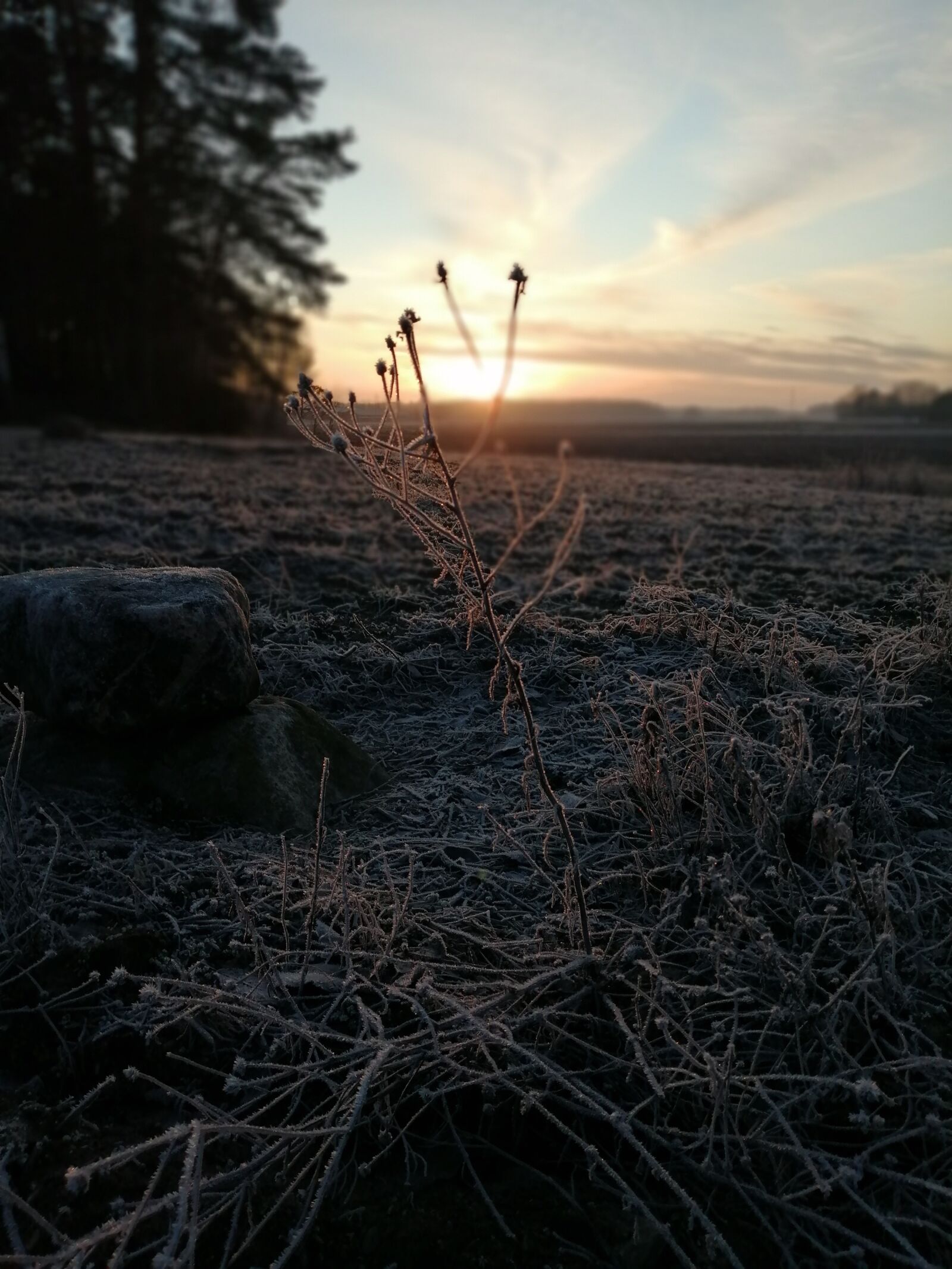 HUAWEI P SMART 2019 sample photo. Landscape, nature, sunset photography