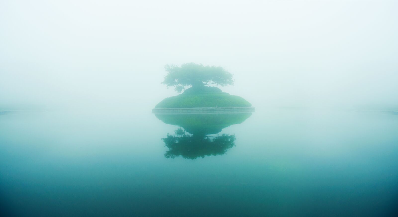 Nikon D810 sample photo. Lake, fog, the tree photography