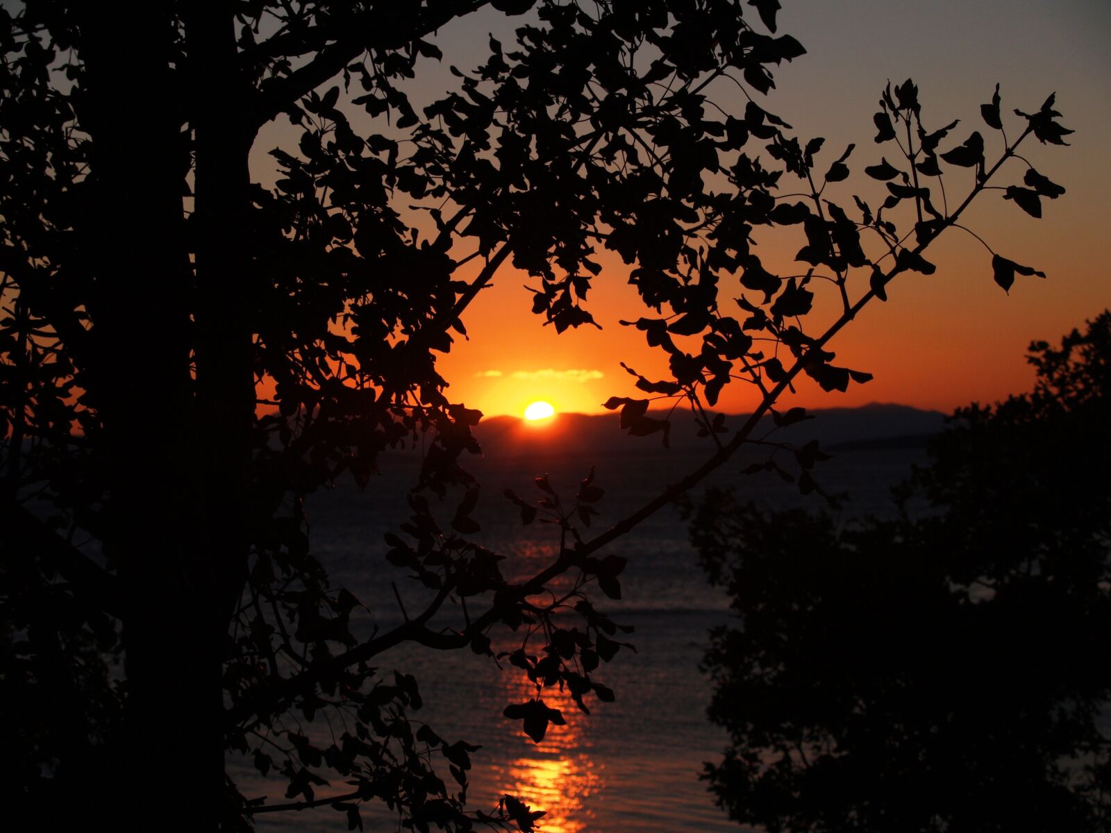 Olympus E-300 (EVOLT E-300) sample photo. Sunset, the sun, tree photography