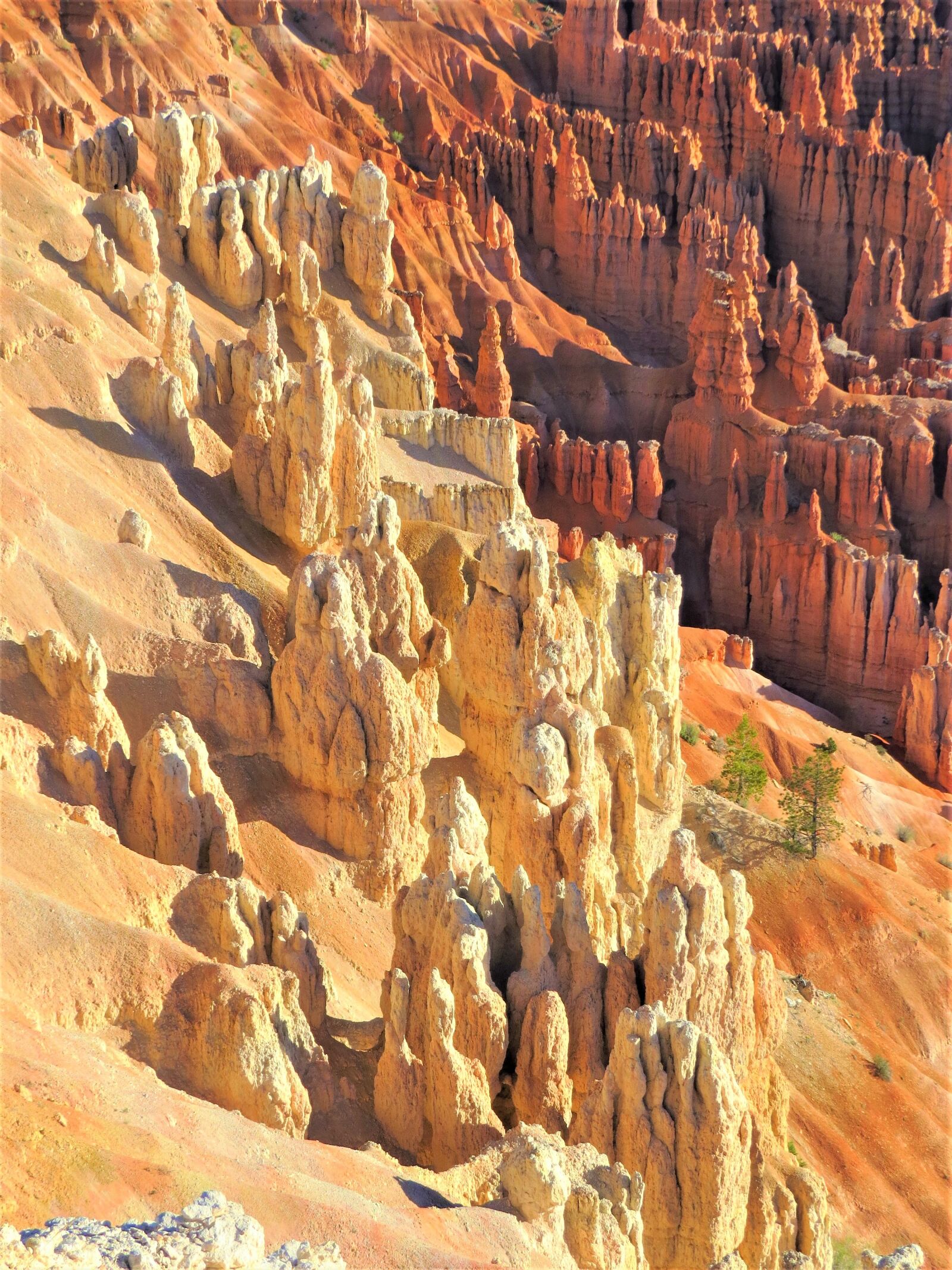 Canon PowerShot SX50 HS sample photo. Bryce canyon, utah, hiking photography