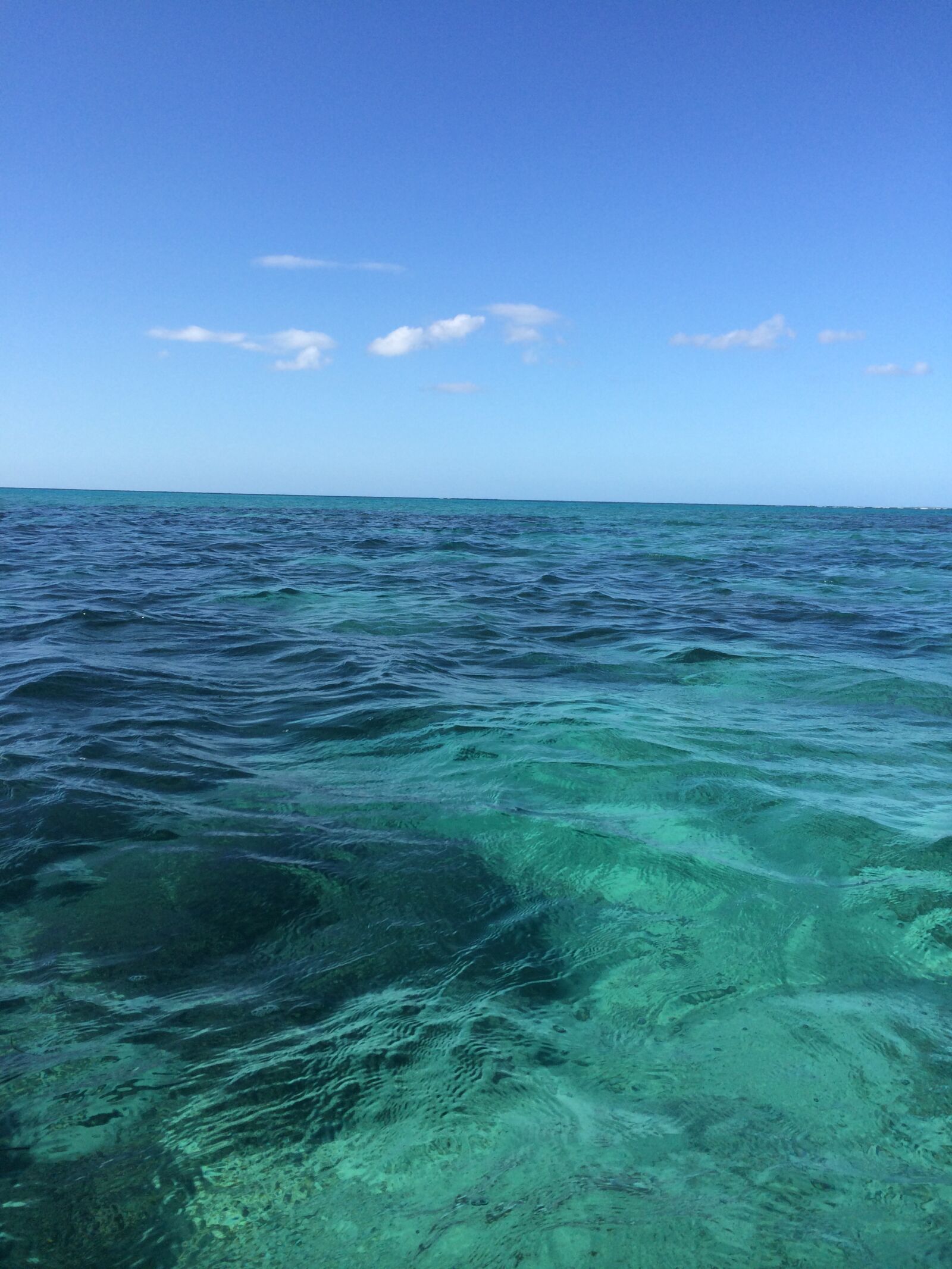 iPhone 5s back camera 4.12mm f/2.2 sample photo. Sea, ocean, coral photography