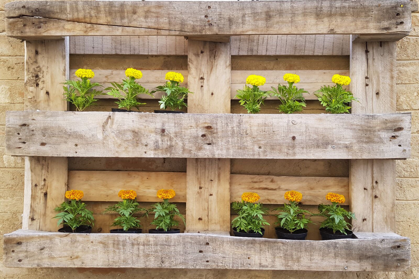Samsung Galaxy S8 sample photo. Flowers, spring, vases photography
