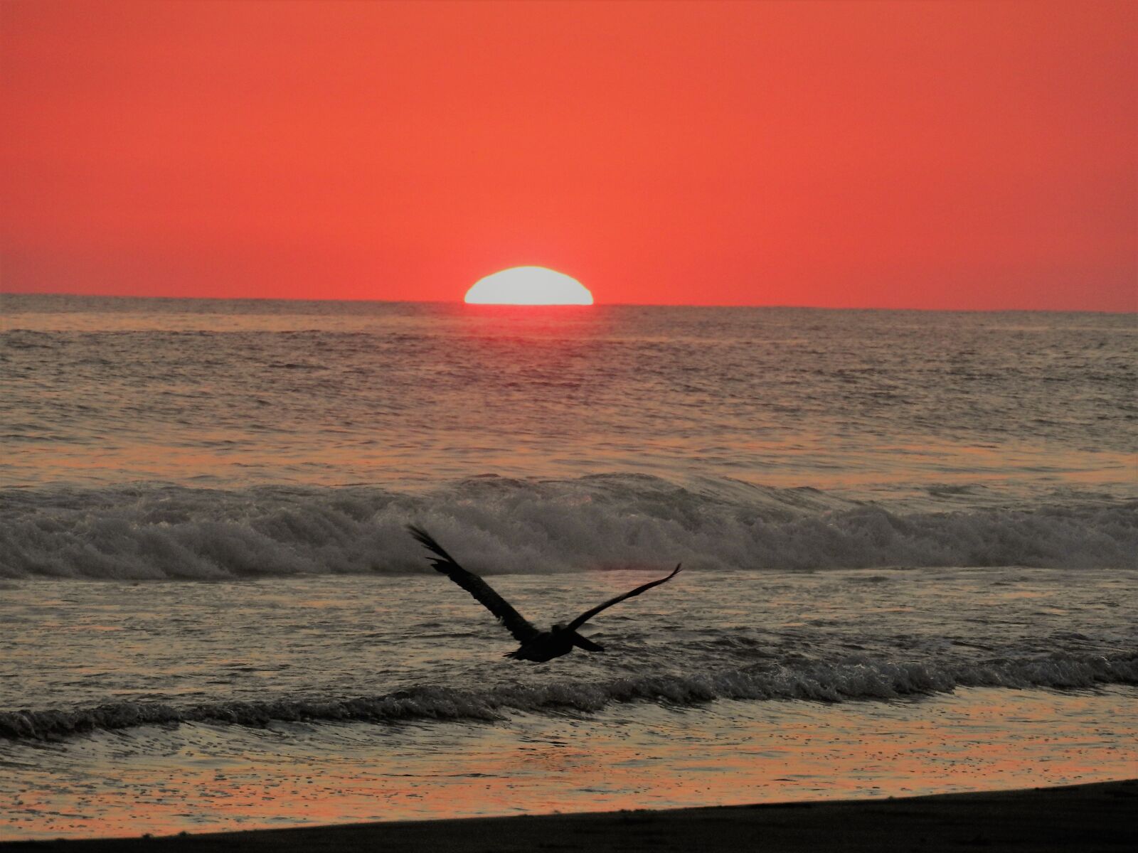 Nikon Coolpix P610 sample photo. Sunset, beach, sun photography