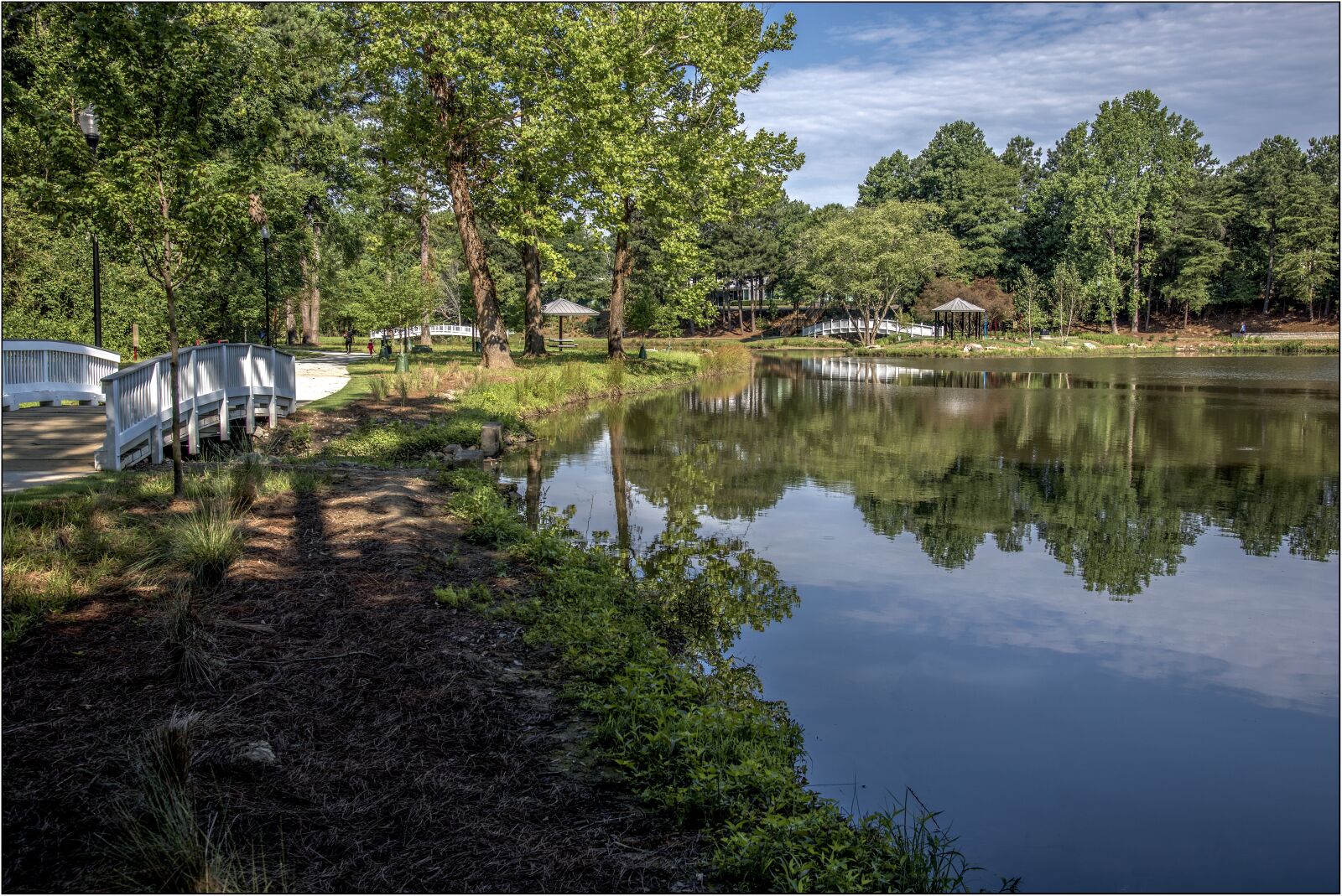 Nikon D810 sample photo. Atlanta, park, landscape photography
