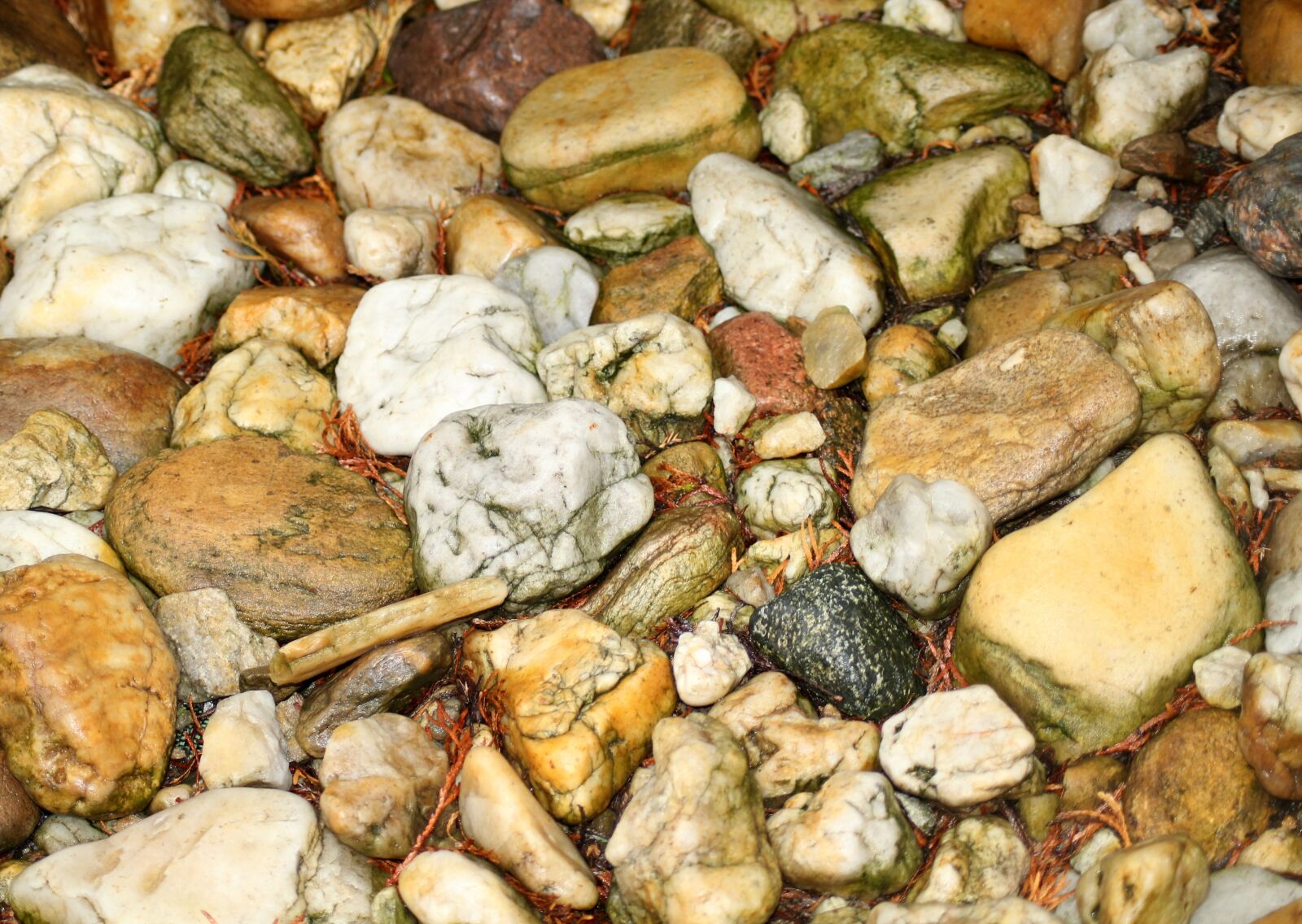 Canon EOS 1200D (EOS Rebel T5 / EOS Kiss X70 / EOS Hi) sample photo. The stones, wet, after photography