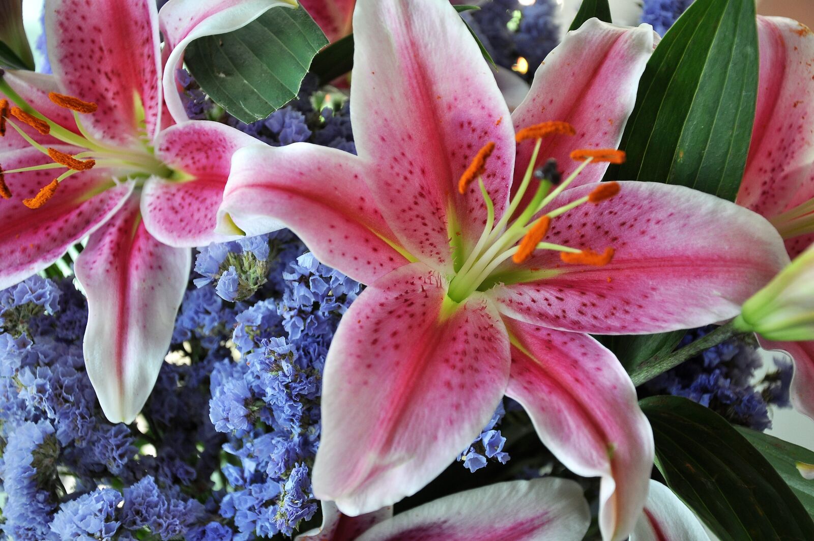 Nikon D90 sample photo. Flower, spring, beauty photography