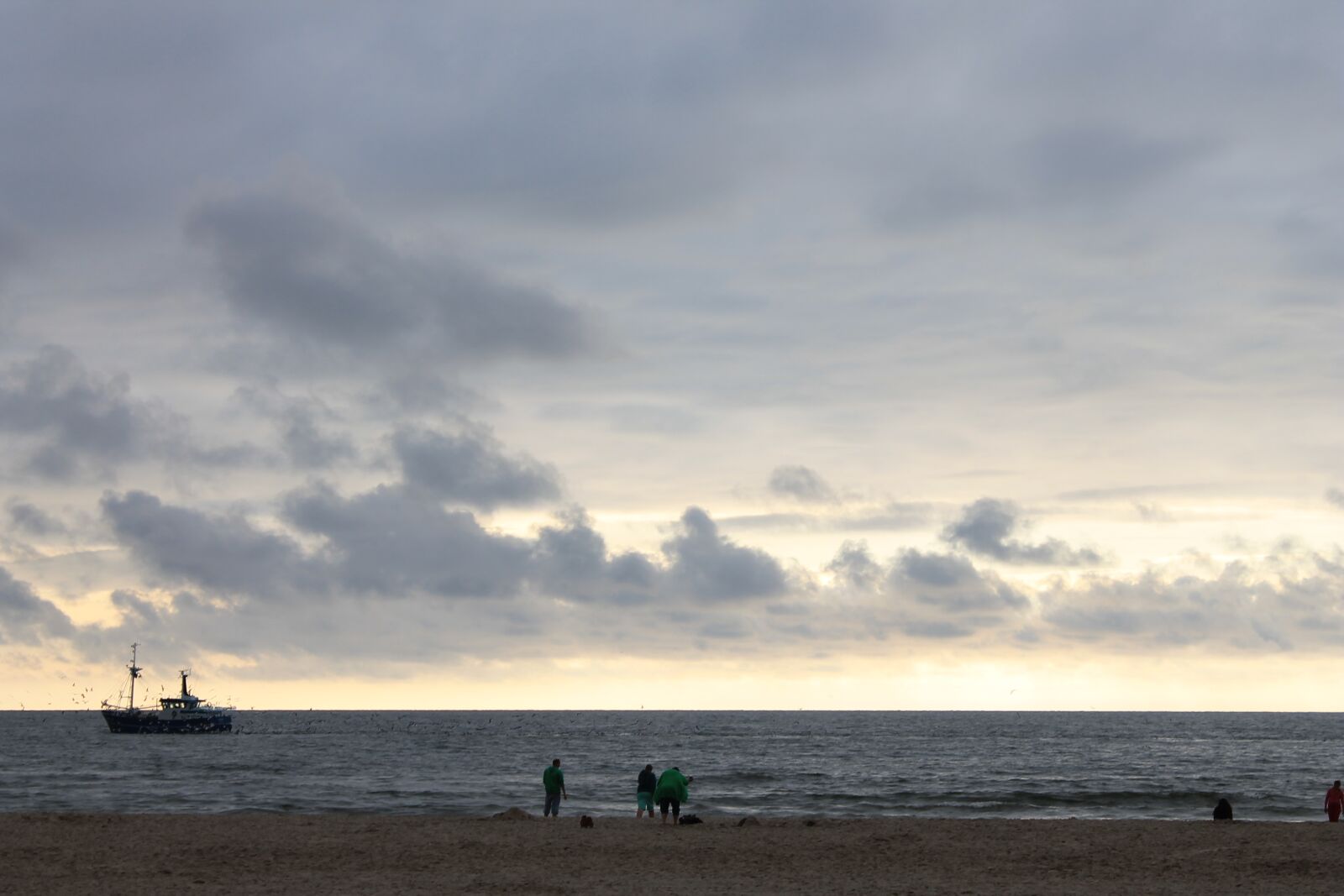 Canon EOS 1100D (EOS Rebel T3 / EOS Kiss X50) sample photo. Texel, beach, netherlands photography
