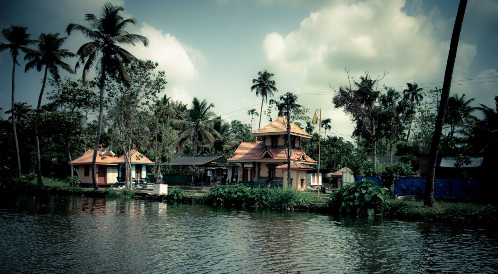 Canon EF-S 18-55mm F3.5-5.6 II sample photo. India, kerala, palm trees photography